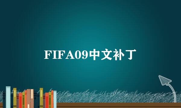 FIFA09中文补丁