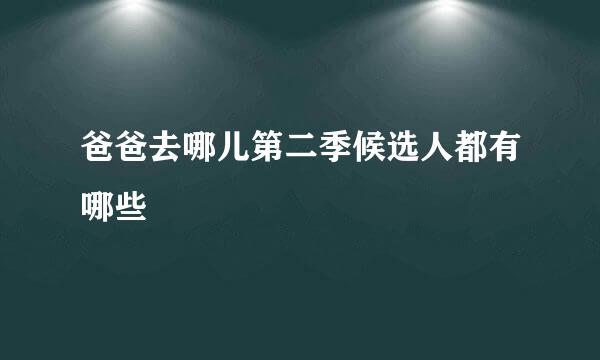 爸爸去哪儿第二季候选人都有哪些