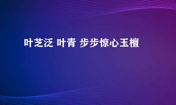 叶芝泛 叶青 步步惊心玉檀