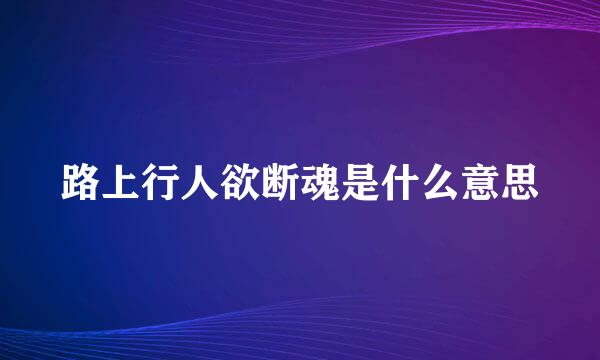 路上行人欲断魂是什么意思