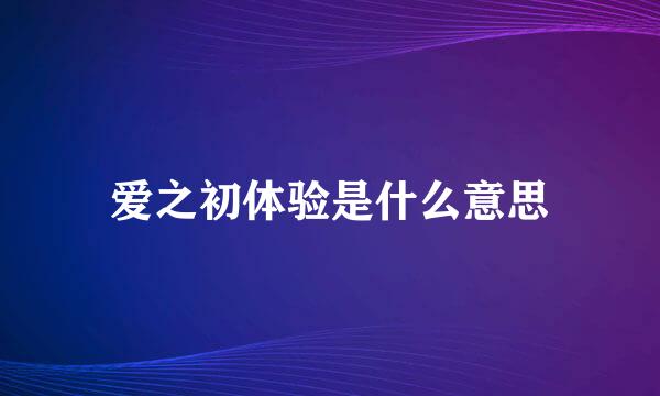 爱之初体验是什么意思