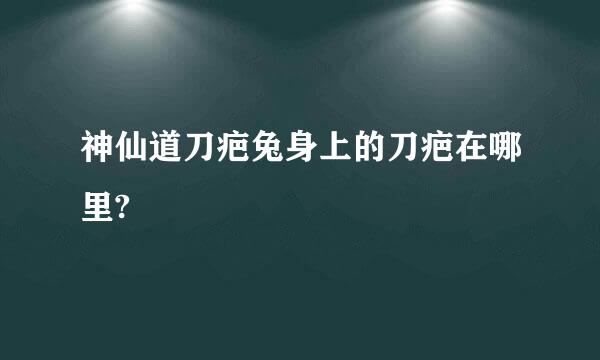 神仙道刀疤兔身上的刀疤在哪里?