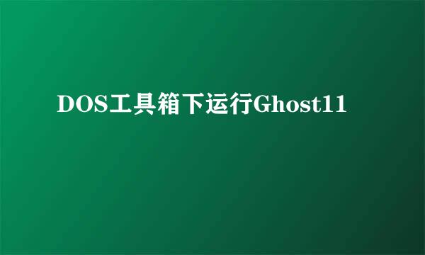 DOS工具箱下运行Ghost11