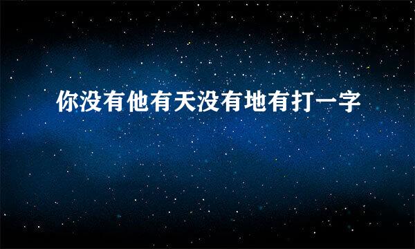 你没有他有天没有地有打一字