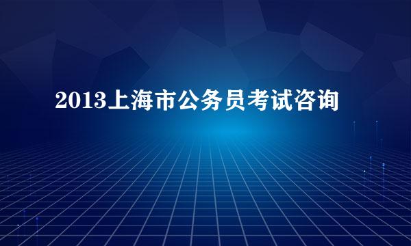 2013上海市公务员考试咨询