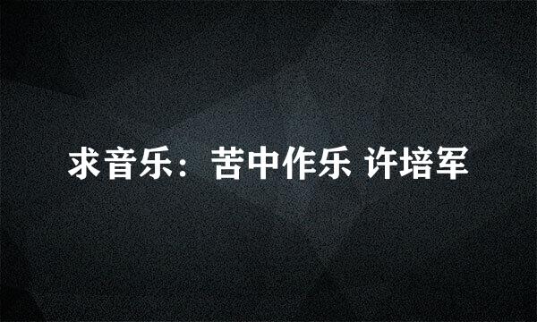 求音乐：苦中作乐 许培军