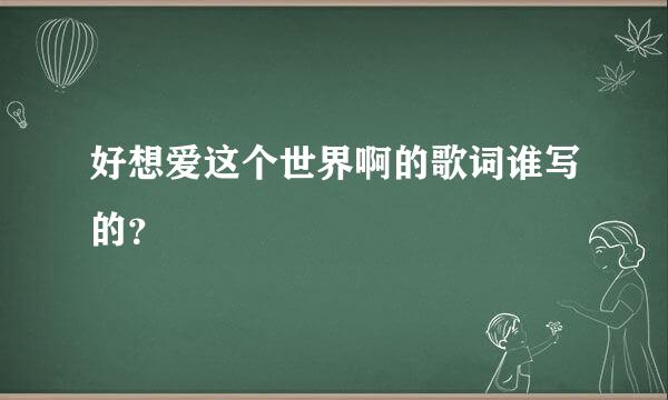 好想爱这个世界啊的歌词谁写的？