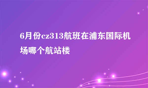 6月份cz313航班在浦东国际机场哪个航站楼