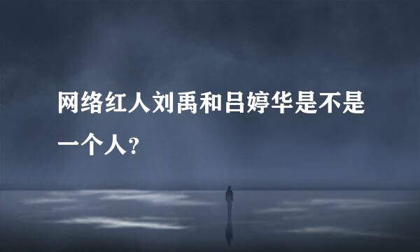 网络红人刘禹和吕婷华是不是一个人？