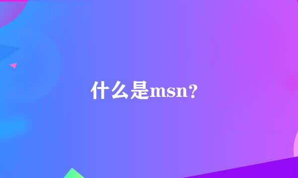 什么是msn？