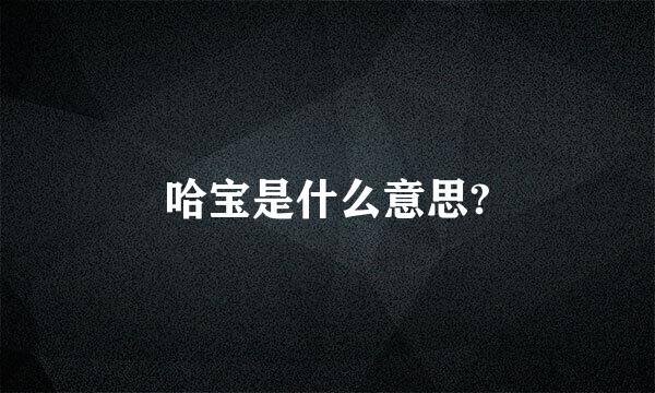 哈宝是什么意思?