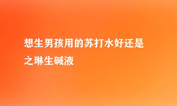 想生男孩用的苏打水好还是焜之琳生碱液