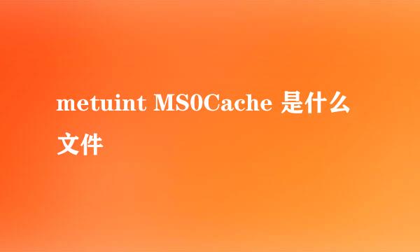 metuint MS0Cache 是什么文件