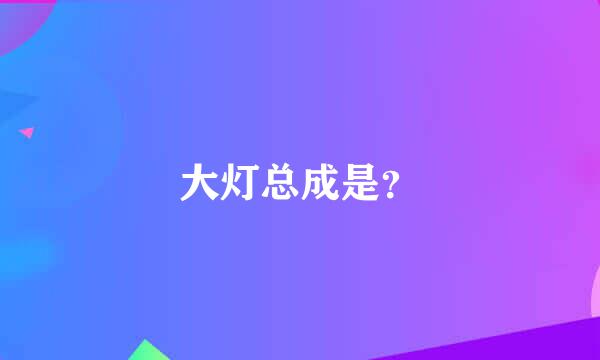 大灯总成是？