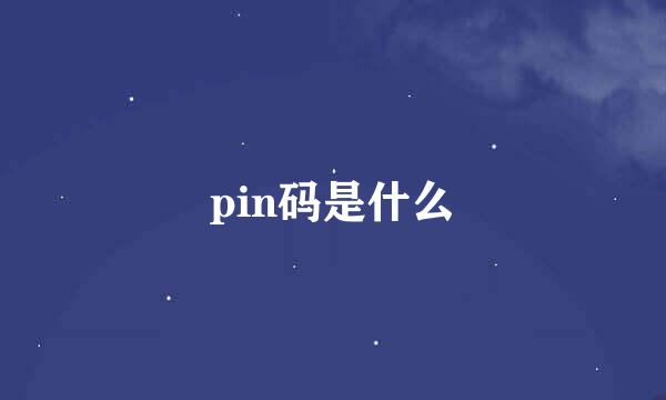 pin码是什么