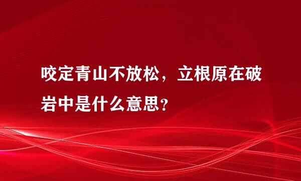 咬定青山不放松，立根原在破岩中是什么意思？