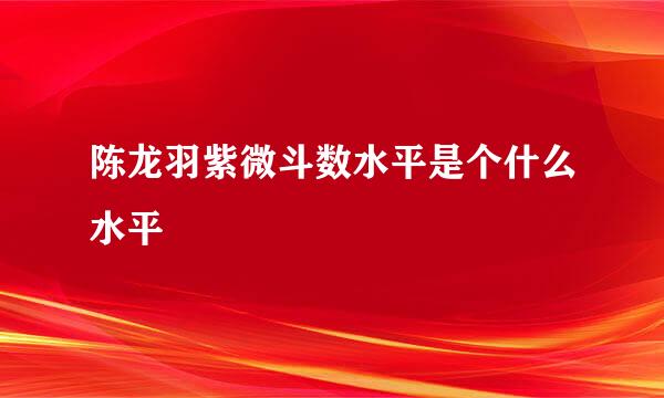 陈龙羽紫微斗数水平是个什么水平