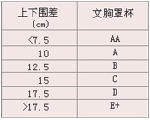 AA-CUP是什么东西～