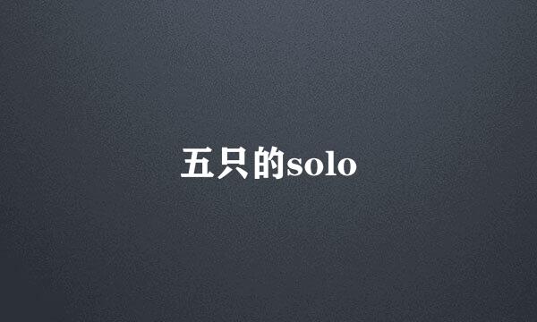 五只的solo