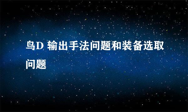 鸟D 输出手法问题和装备选取问题