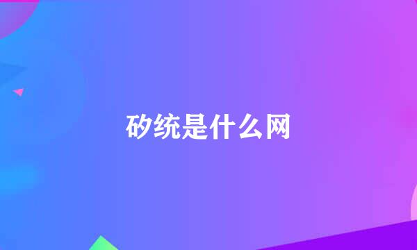 矽统是什么网