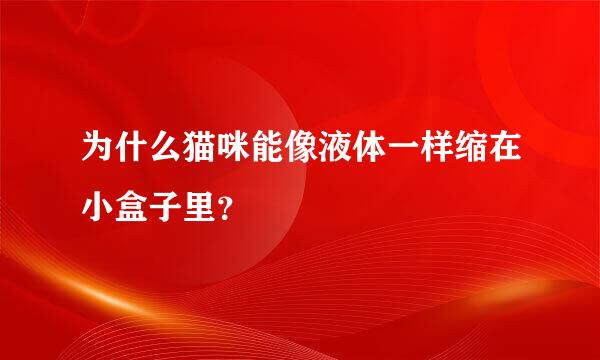 为什么猫咪能像液体一样缩在小盒子里？