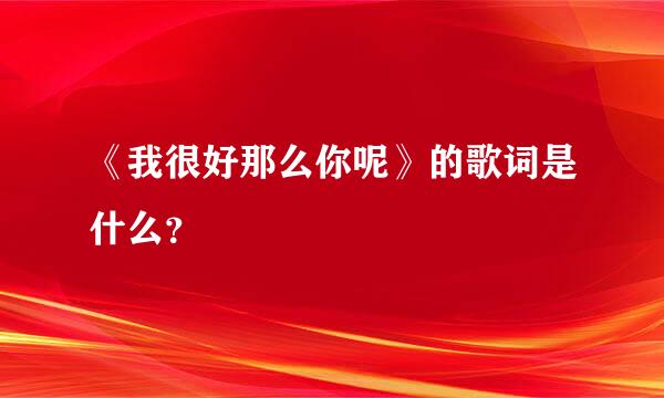 《我很好那么你呢》的歌词是什么？