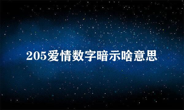 205爱情数字暗示啥意思