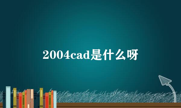 2004cad是什么呀