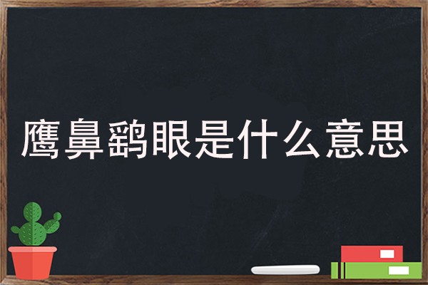 鹰鼻鹞眼是什么意思