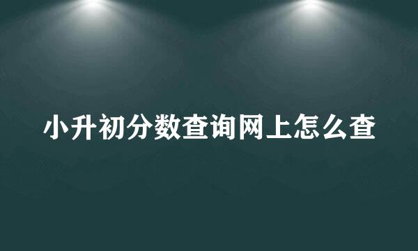 小升初分数查询网上怎么查