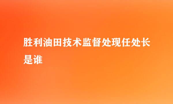 胜利油田技术监督处现任处长是谁