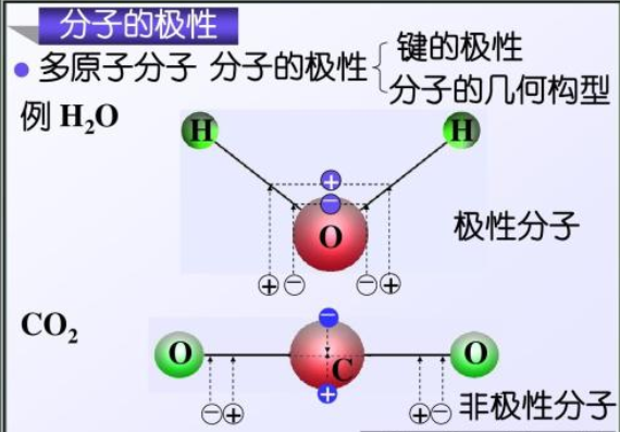 分子间氢键和分子内氢键的区别是什么