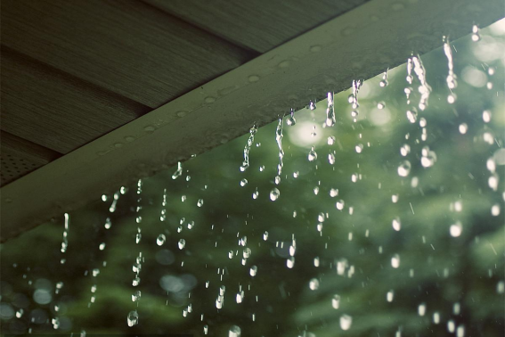 好雨知时节下一句是什么诗