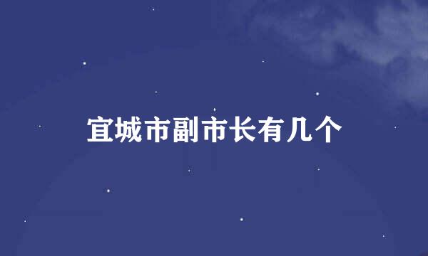 宜城市副市长有几个