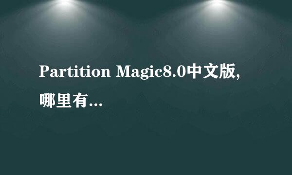 Partition Magic8.0中文版,哪里有下载啊?