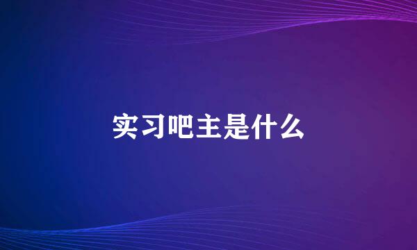 实习吧主是什么