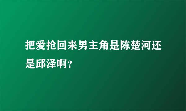 把爱抢回来男主角是陈楚河还是邱泽啊？