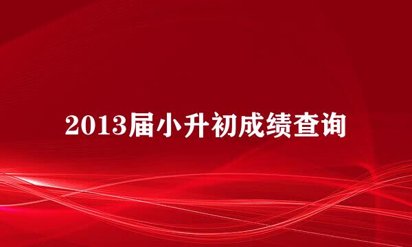 2013届小升初成绩查询