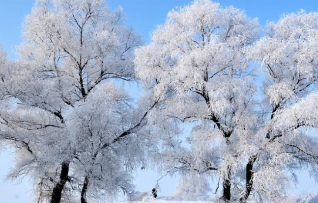 北京西部北部小雪悄然而至，今年的春雪是否要比往年晚一些？