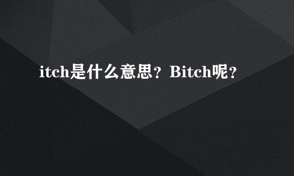 itch是什么意思？Bitch呢？