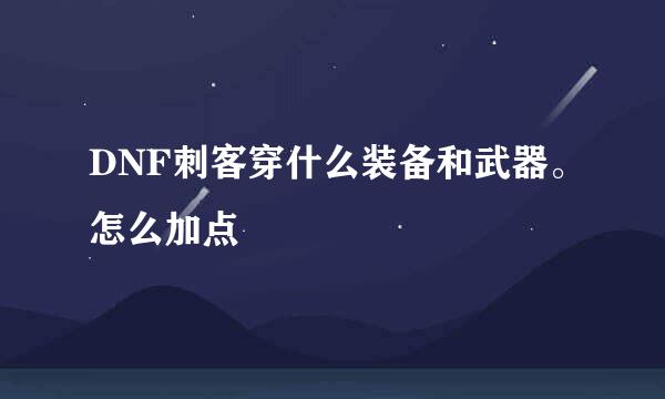 DNF刺客穿什么装备和武器。怎么加点