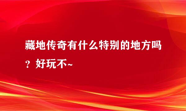 藏地传奇有什么特别的地方吗？好玩不~