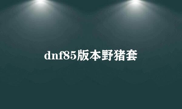 dnf85版本野猪套