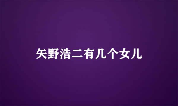 矢野浩二有几个女儿