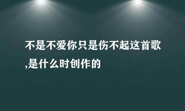 不是不爱你只是伤不起这首歌,是什么时创作的