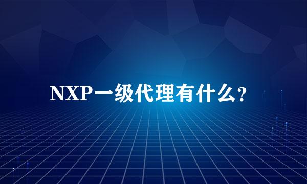 NXP一级代理有什么？