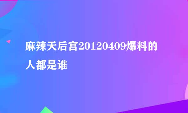 麻辣天后宫20120409爆料的人都是谁