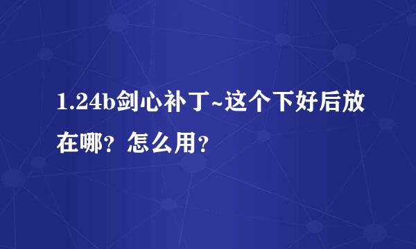 1.24b剑心补丁~这个下好后放在哪？怎么用？