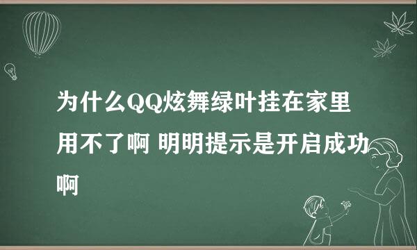 为什么QQ炫舞绿叶挂在家里用不了啊 明明提示是开启成功啊